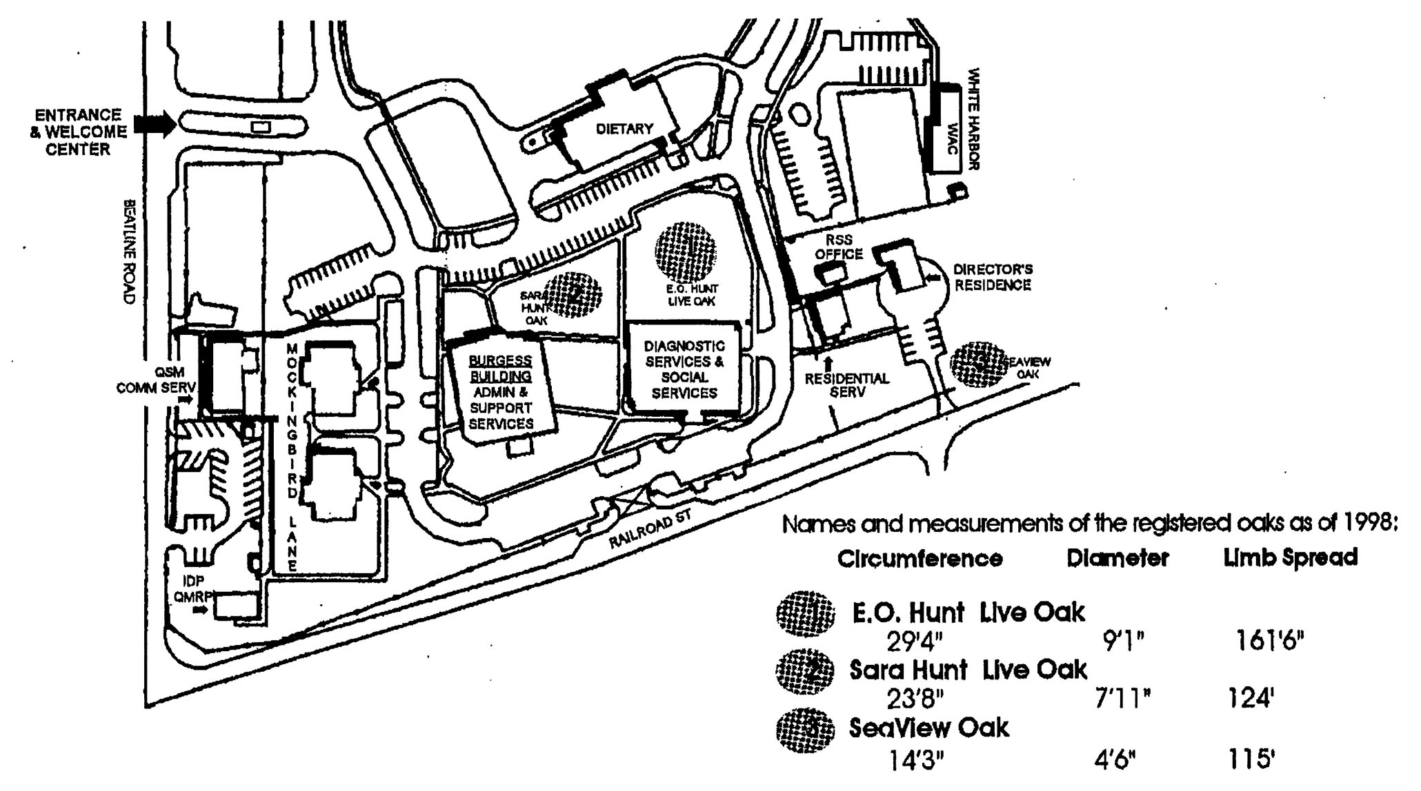 Oak Diagram